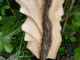 T-14 | aufstrebende Kraft | Buche (auf Holzscheibe) | 35/16/13 cm