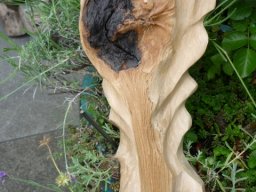 T-22  | Blüten-Auge | Buche mit Achat (auf Holz) | 28/15/6 cm