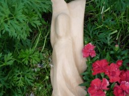 T-17 | bedächtig | Esche | 23/7/4 cm