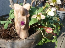 X-11  | Liebreiz | amerikanischer Nussbaum (mit Rose) | 17/8/5 cm