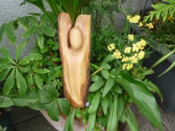 X-34 | verbunden | japanische Kirsche | 27/9/6